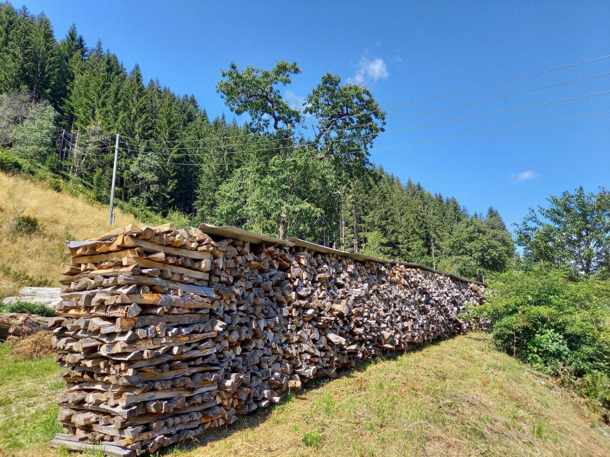 Landhaus Gruenjuwel Химмельберг Экстерьер фото