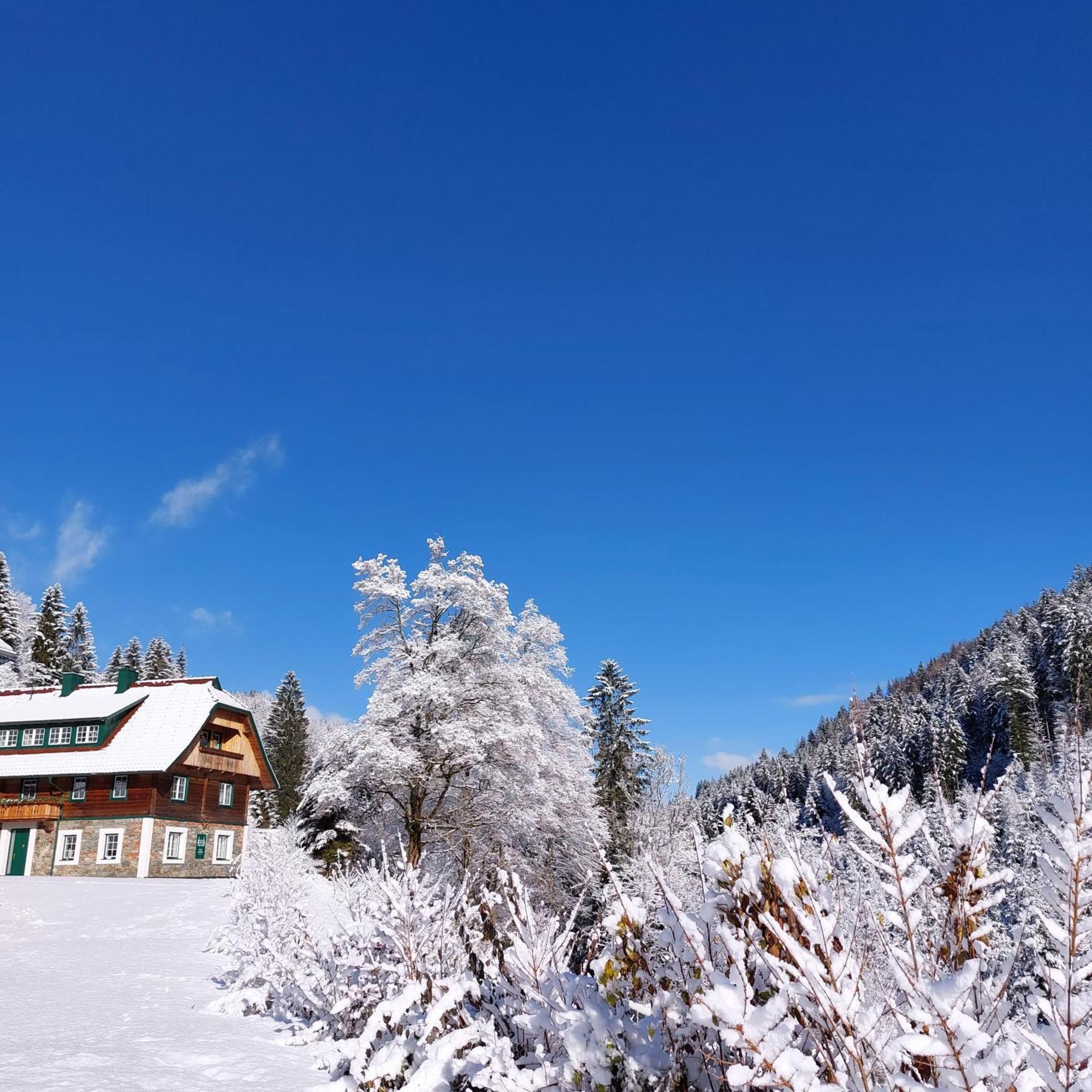 Landhaus Gruenjuwel Химмельберг Экстерьер фото